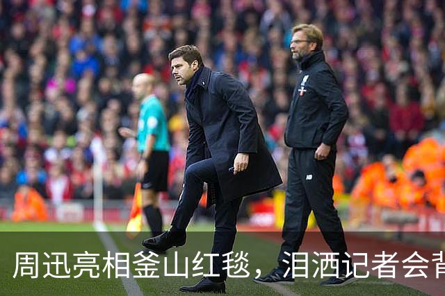 周迅亮相釜山红毯，泪洒记者会背后的情感故事